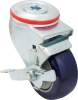 Bolt Hole Swivel Caster